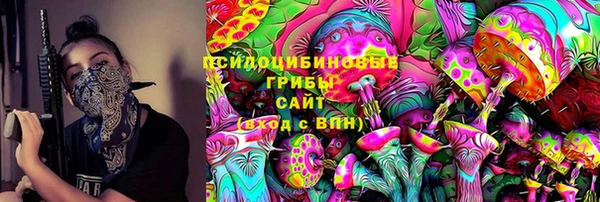хмурый Алзамай