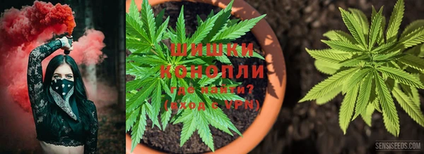 дживик Алексеевка