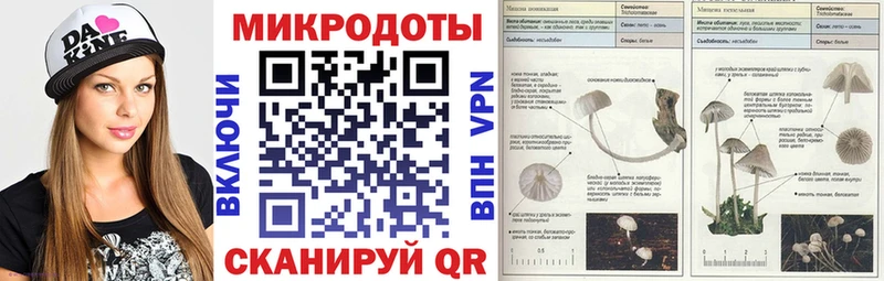 Псилоцибиновые грибы мицелий  Ясный 